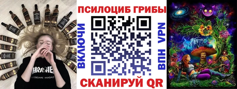 Псилоцибиновые грибы Psilocybine cubensis  Карачаевск 