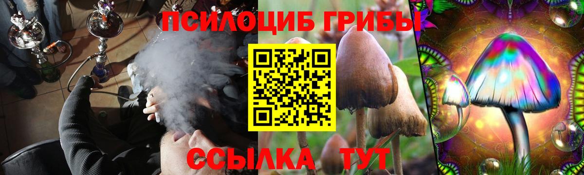 Карачаевск  Псилоцибиновые грибы мухоморы  Вход с VPN 